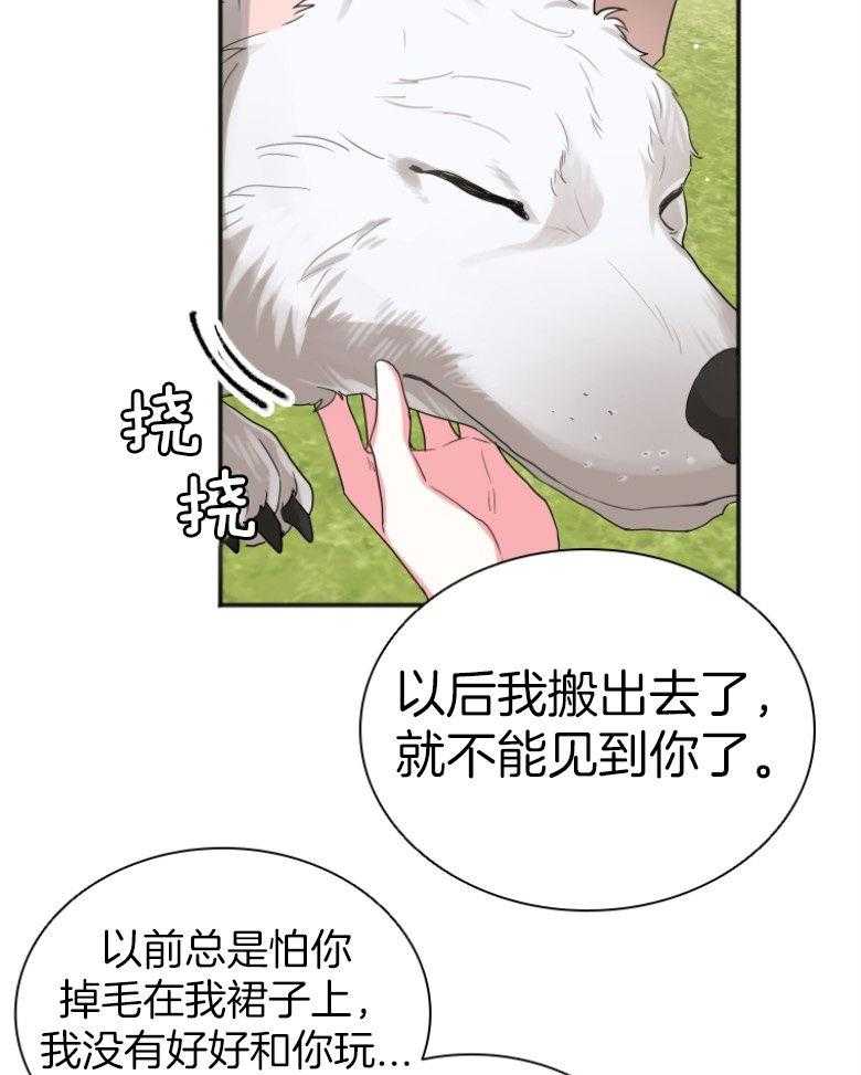 41