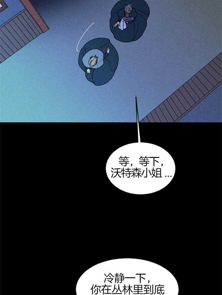 41.jpg
