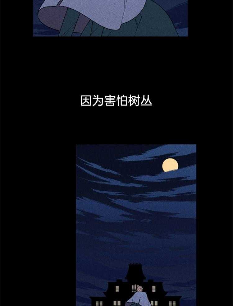 37.jpg