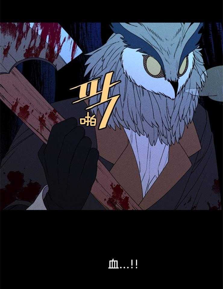 24.jpg