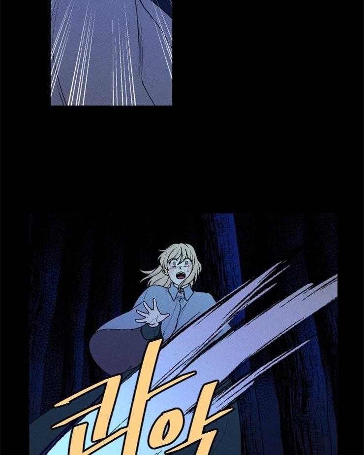 43.jpg