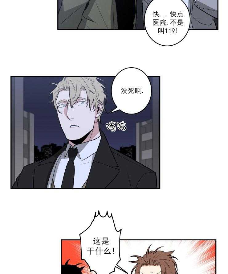 21.jpg