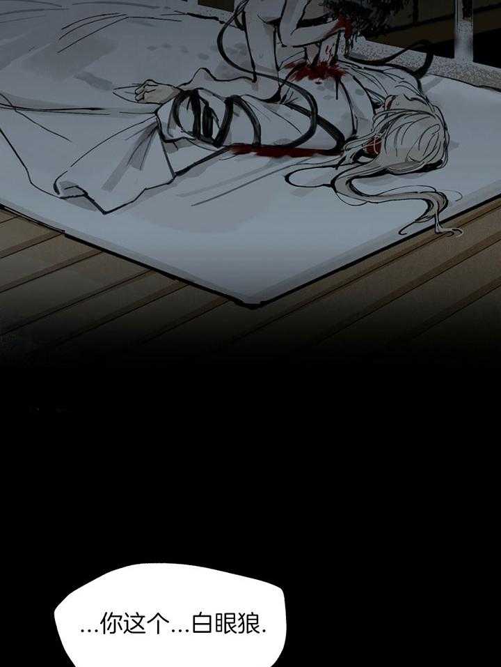 41
