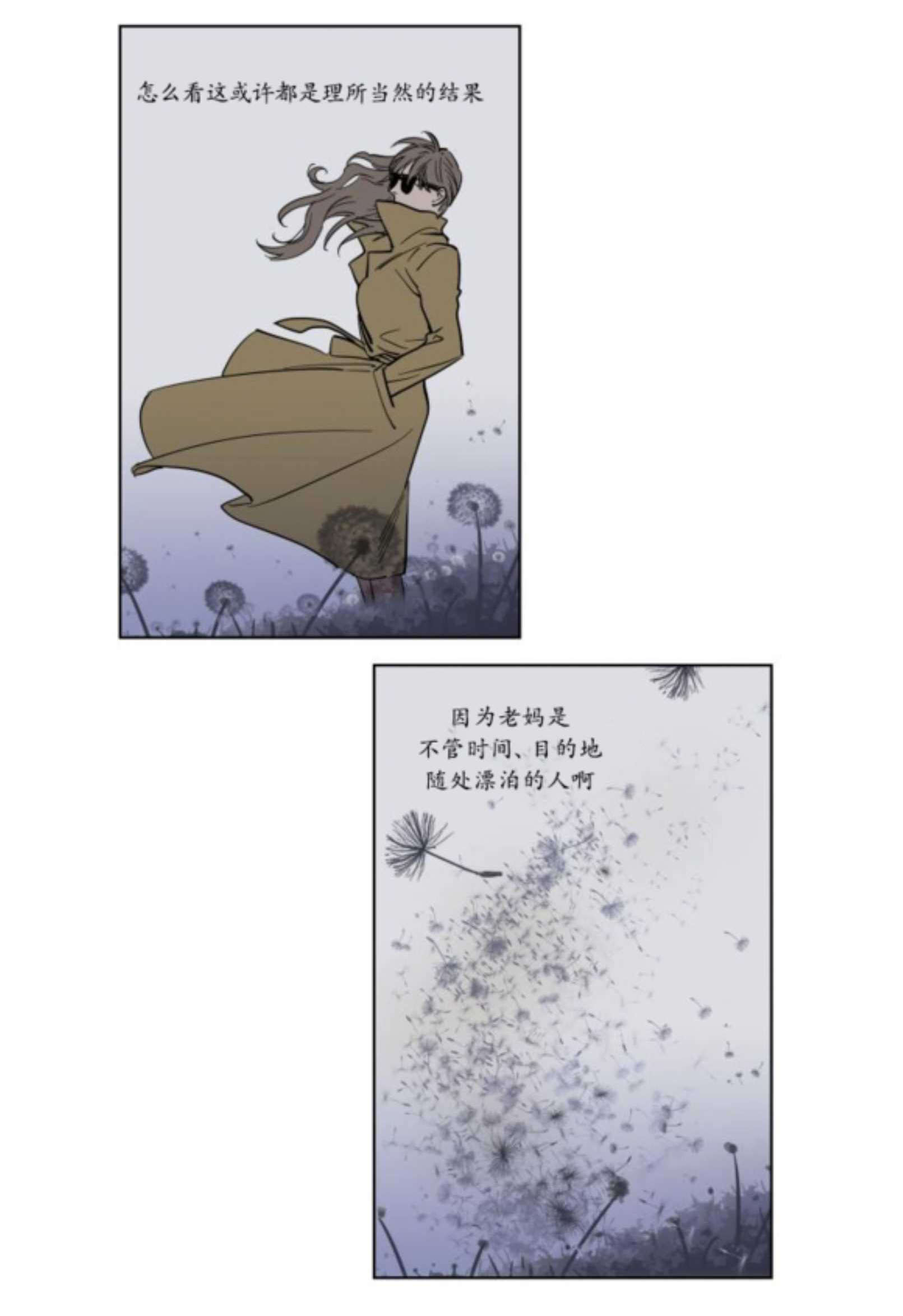41