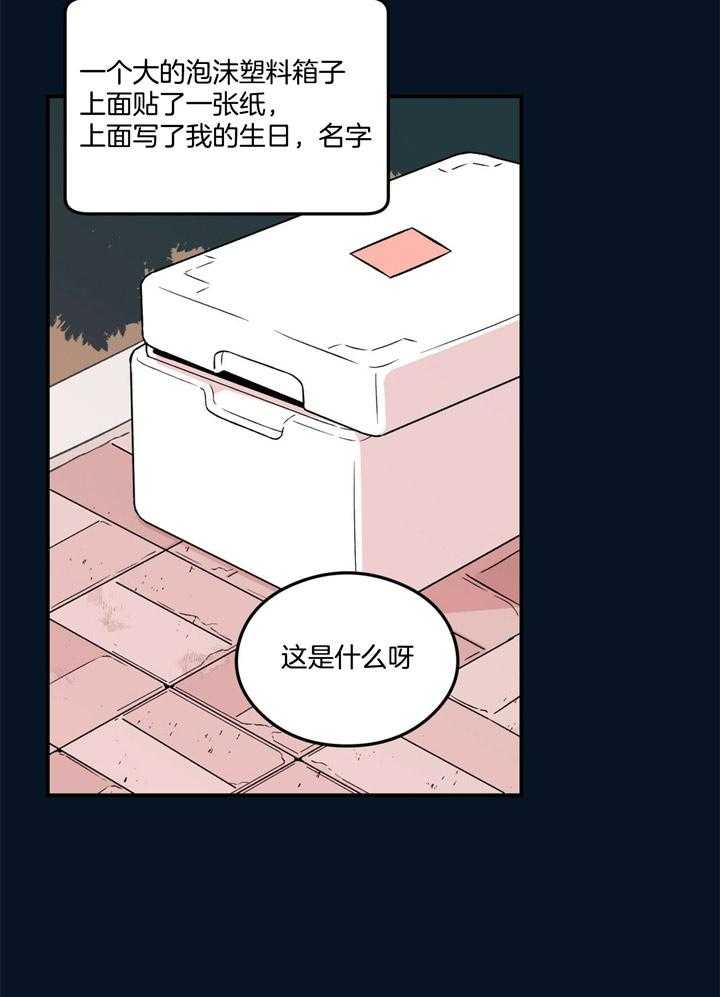 29.jpg