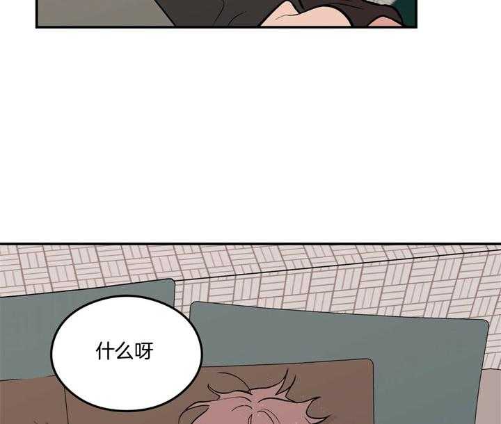 41.jpg