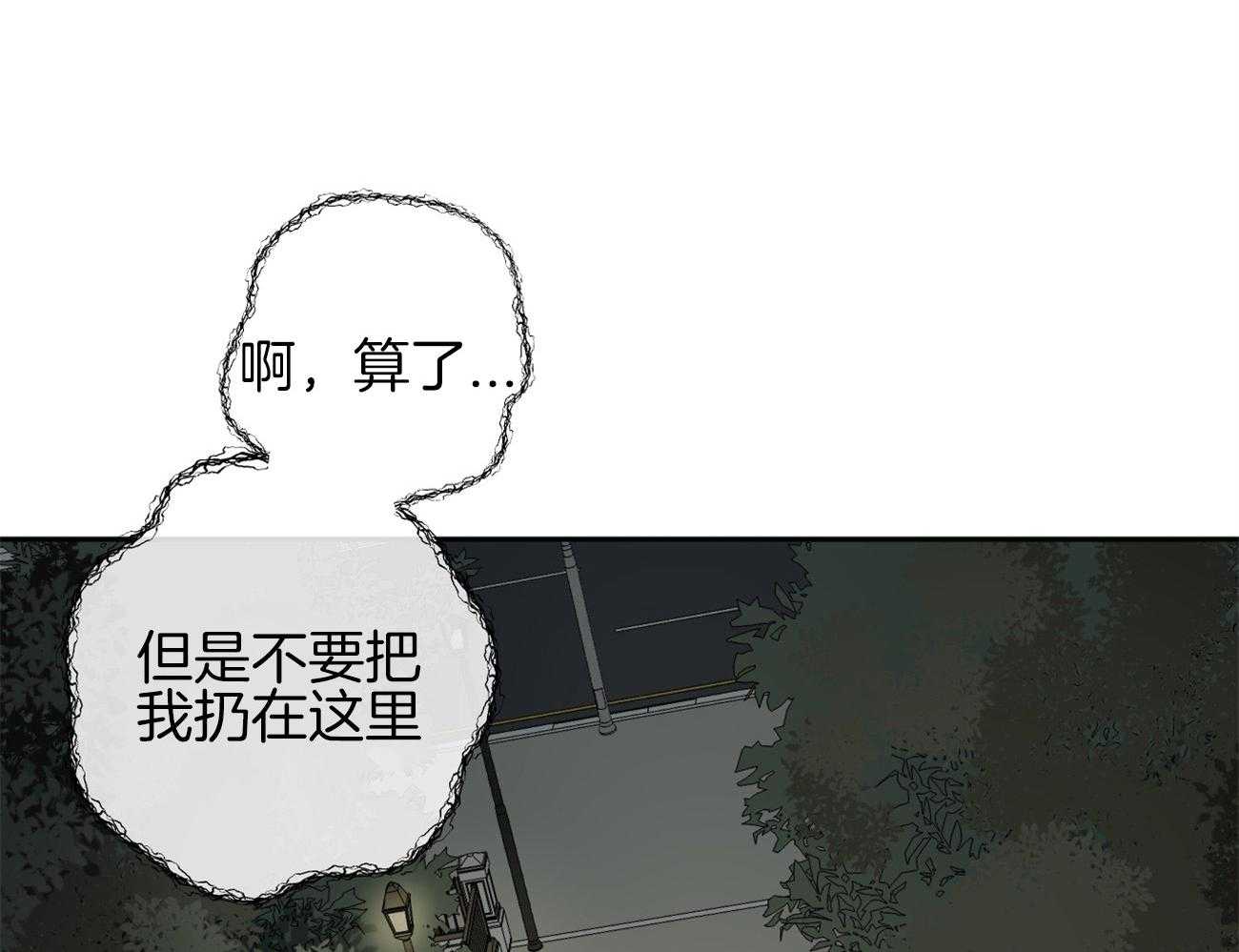 54.jpg