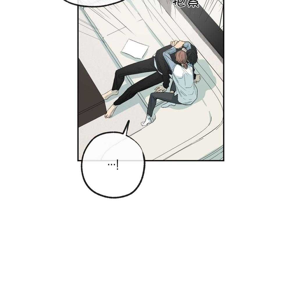 41.jpg