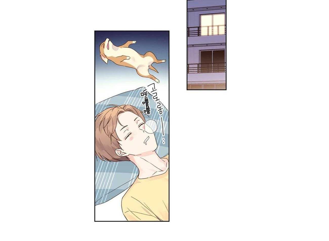 27.jpg
