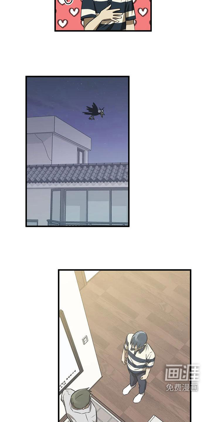 13.jpg