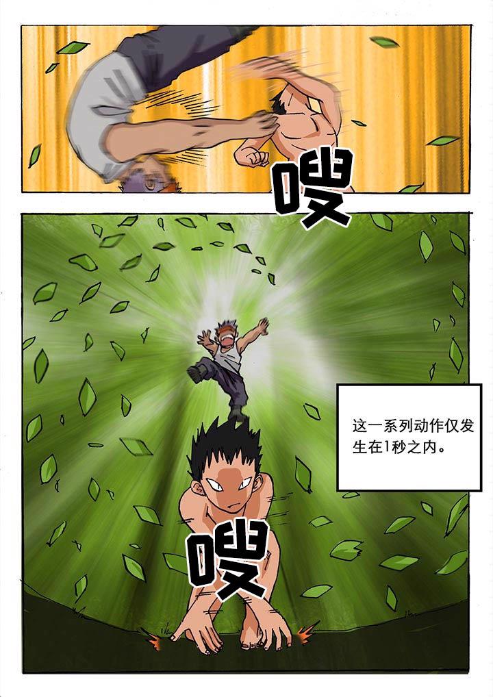 5.jpg