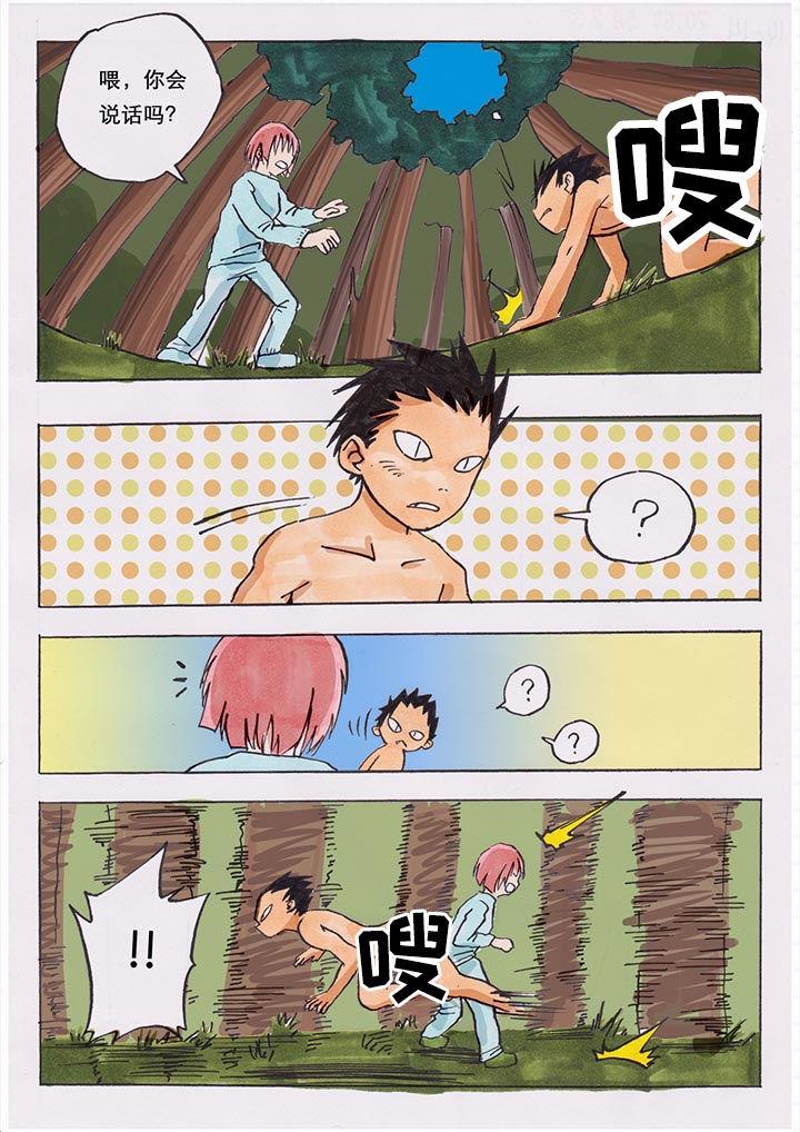 6.jpg