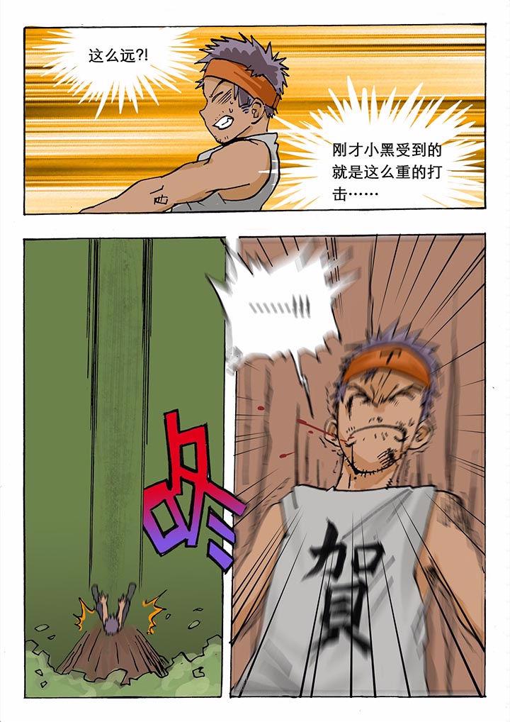 6.jpg