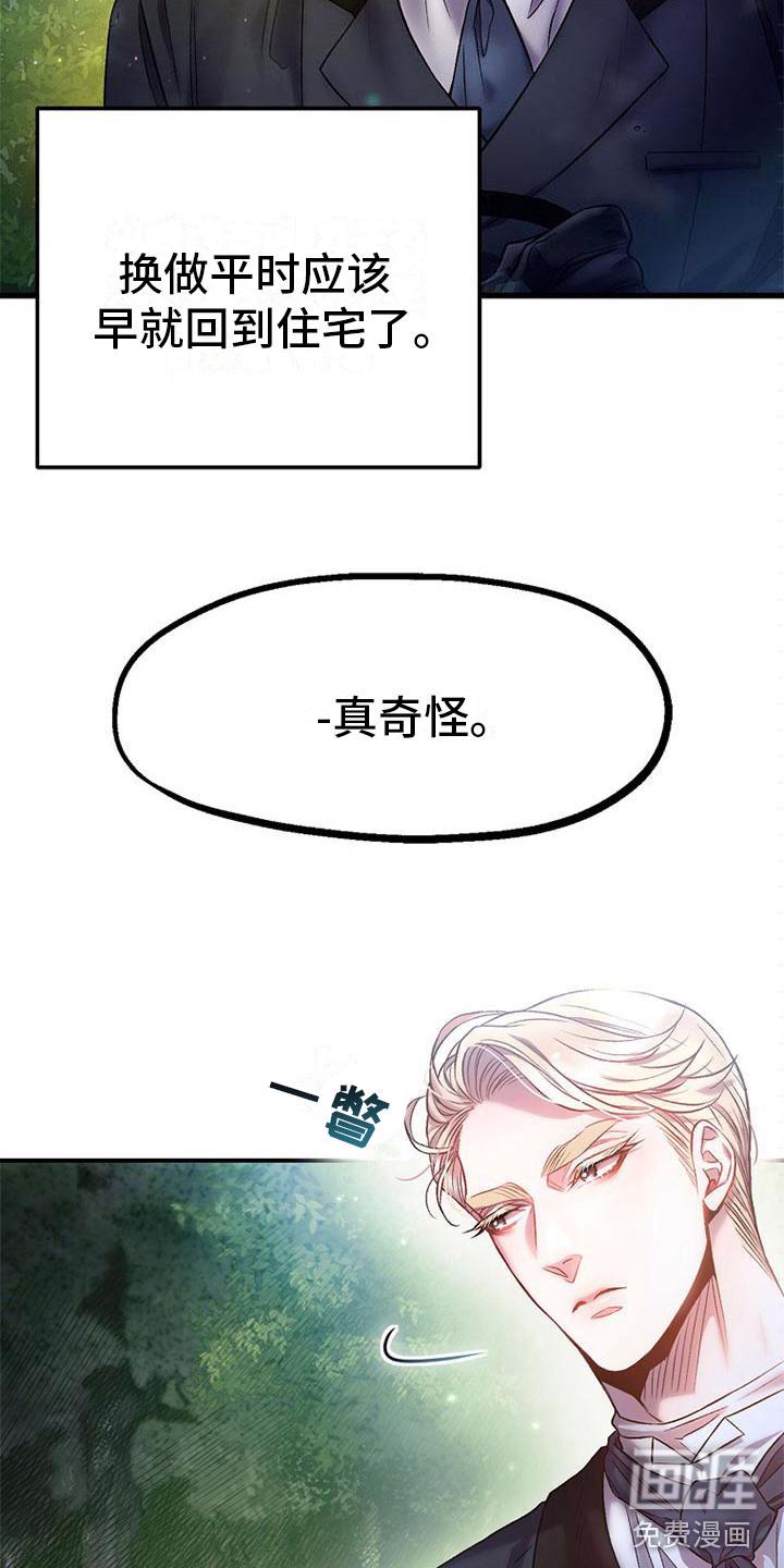 17.jpg