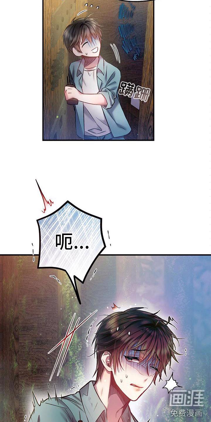 13.jpg