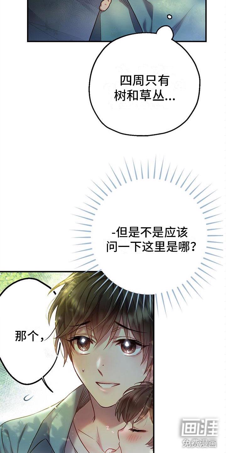 15.jpg