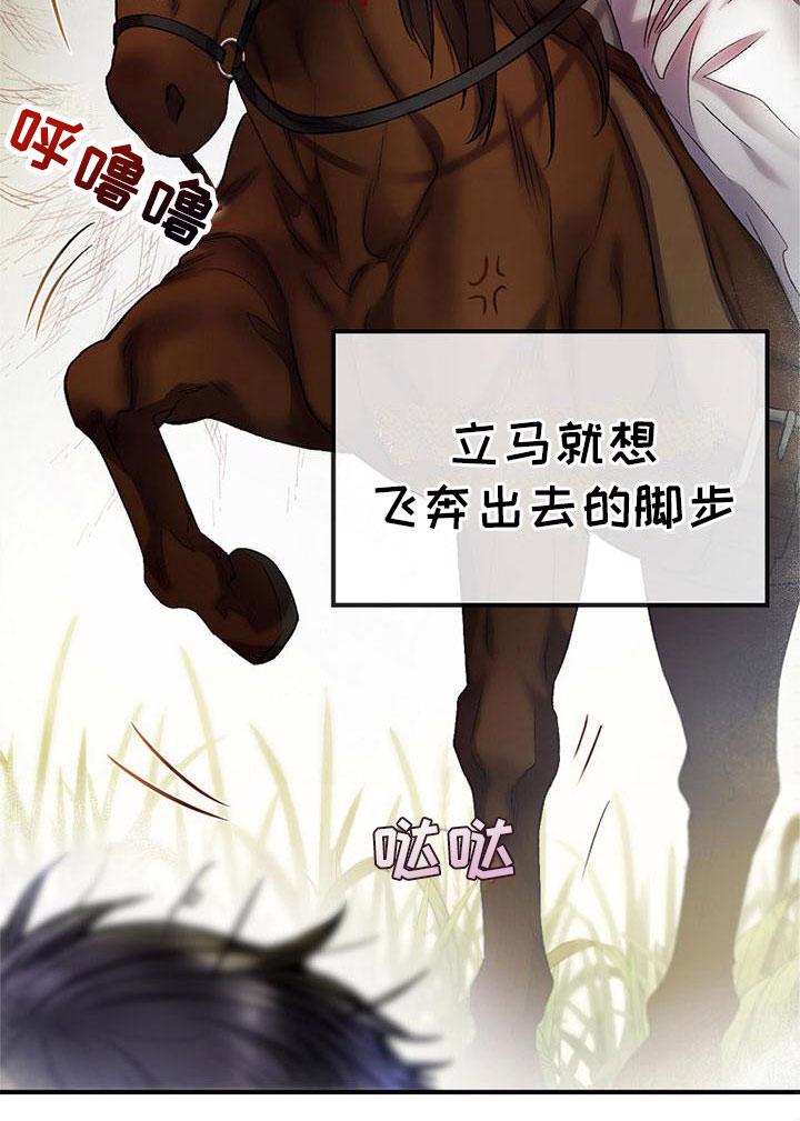 23.jpg