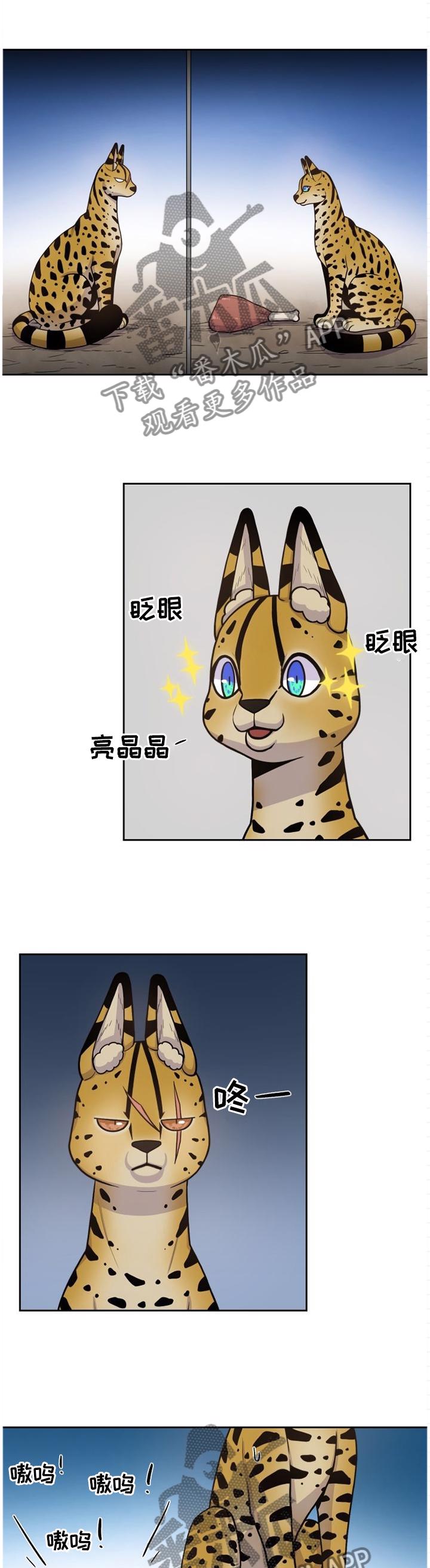 4.jpg