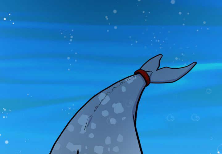 53