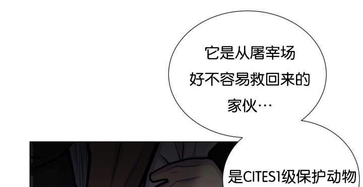 57.jpg
