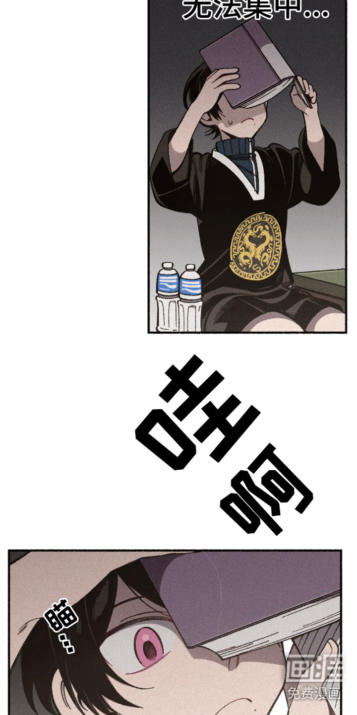 14.jpg