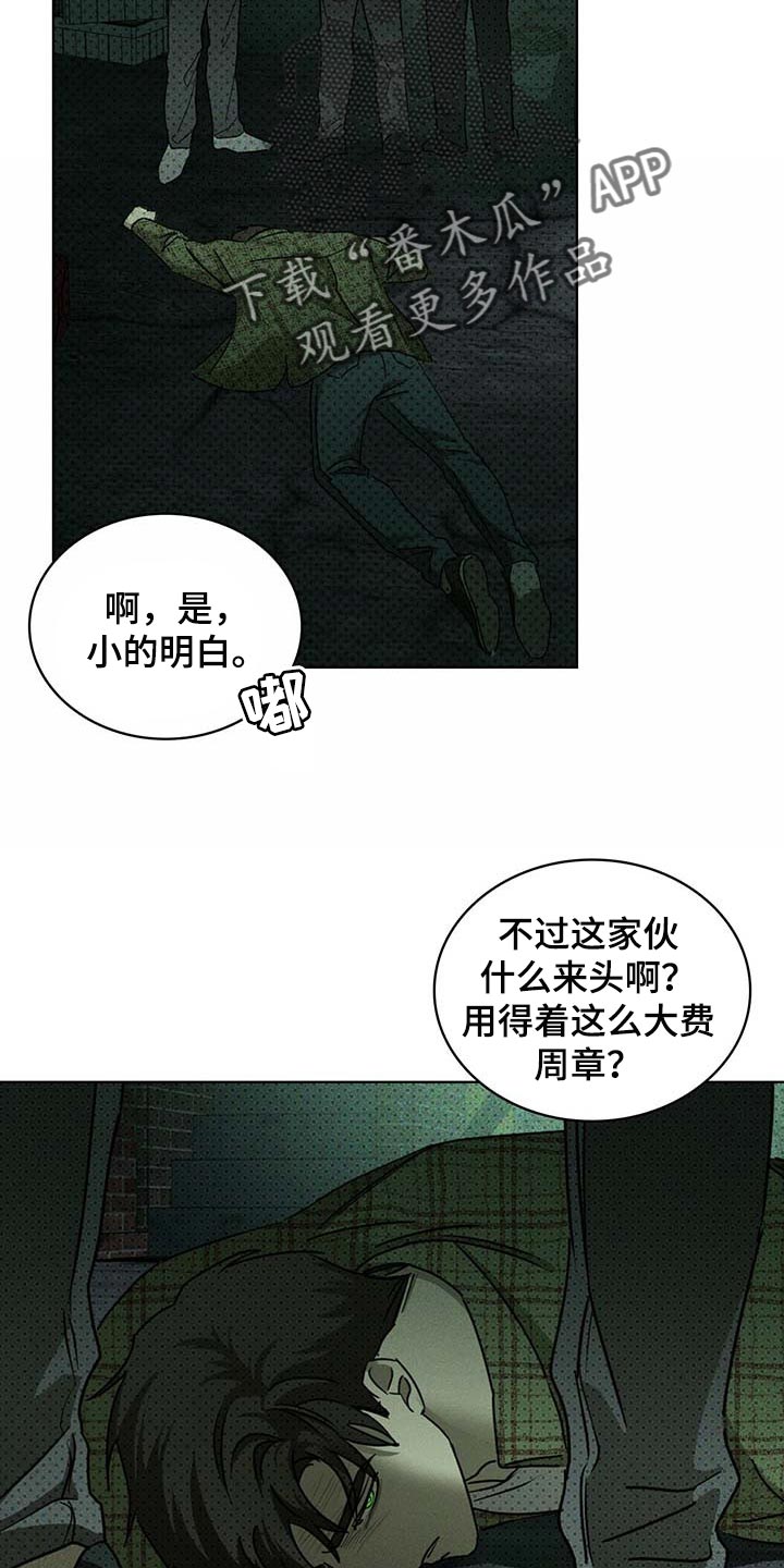 31