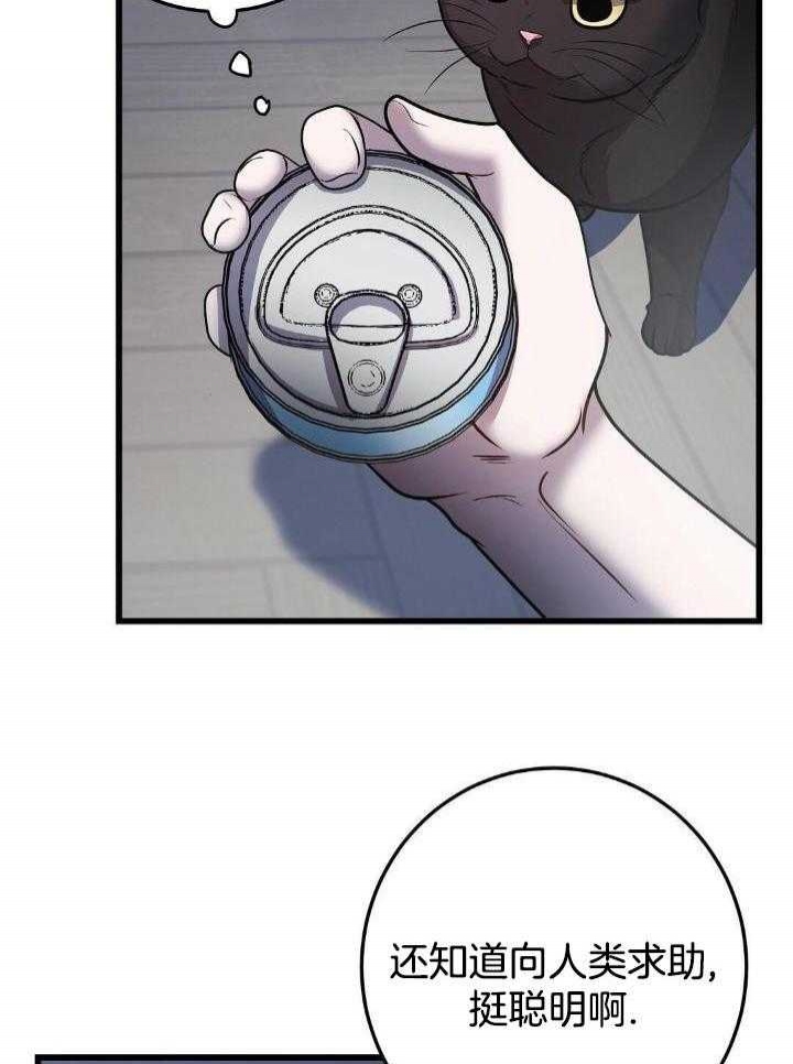 25.jpg