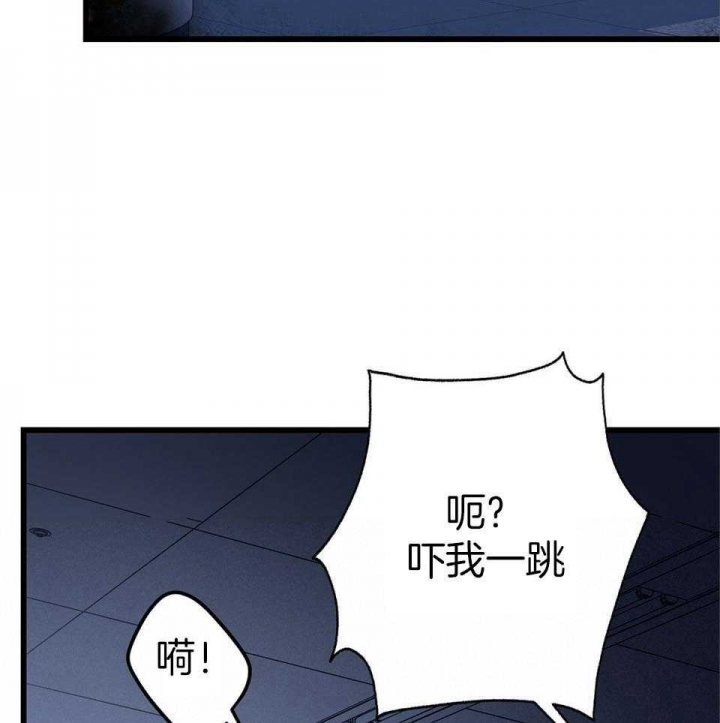 53