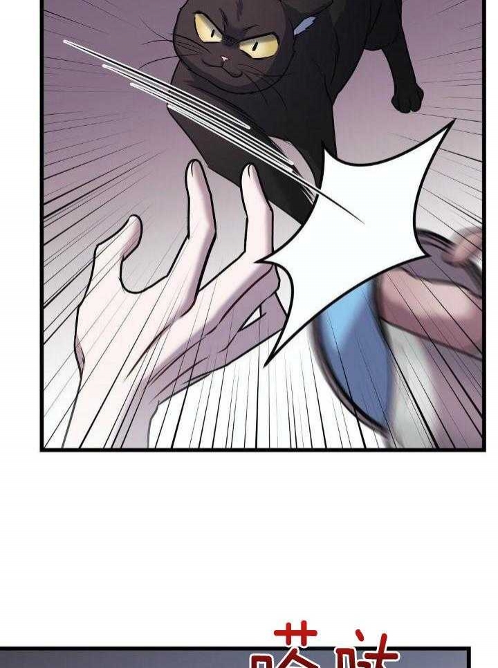 31.jpg