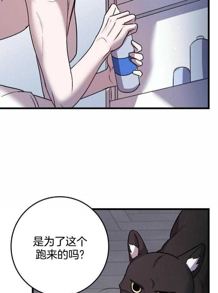 24.jpg