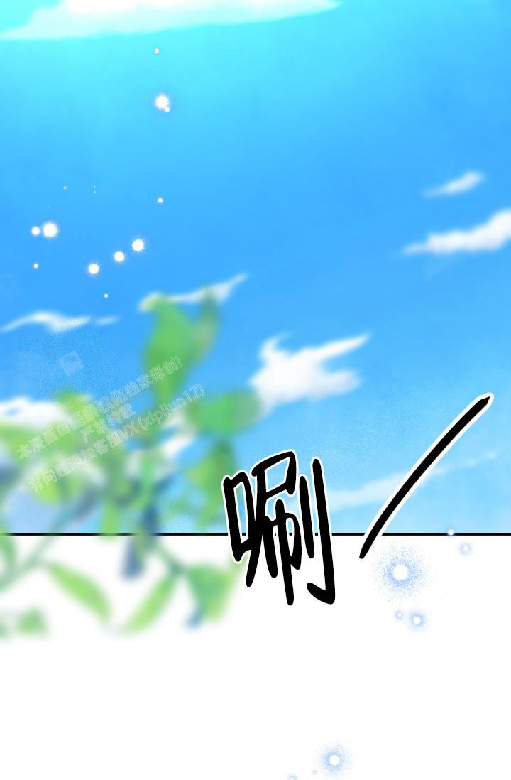81