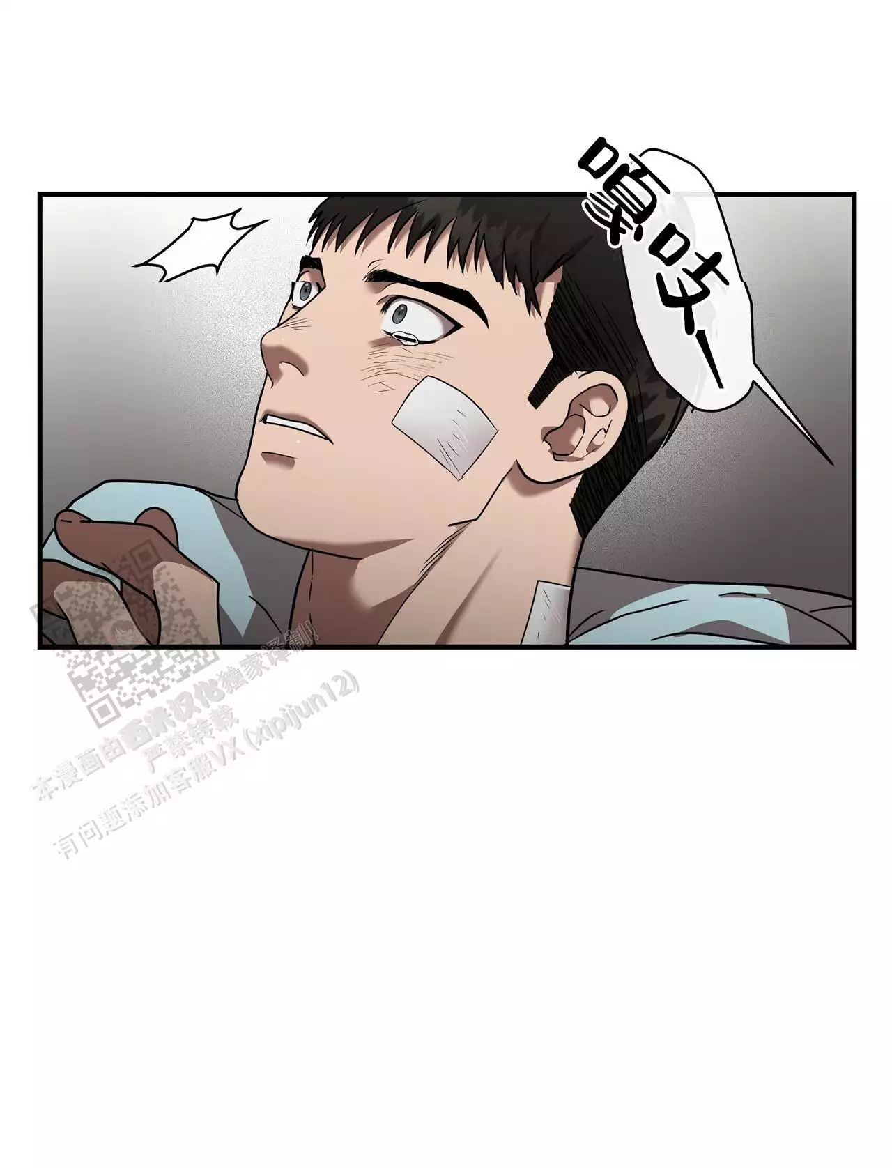14.jpg