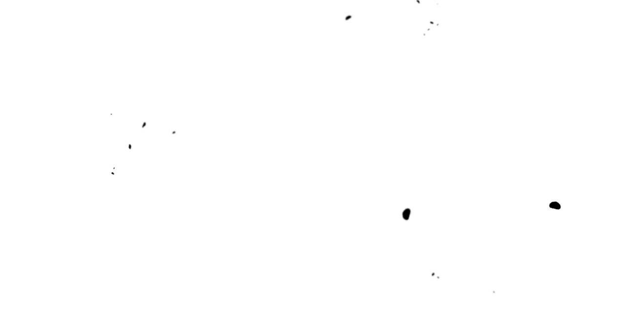 62.jpg