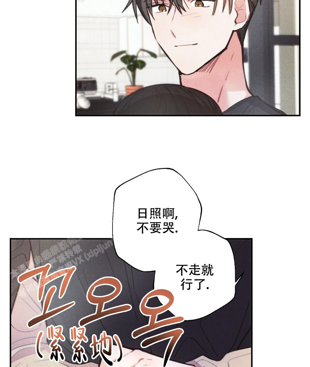 29.jpg