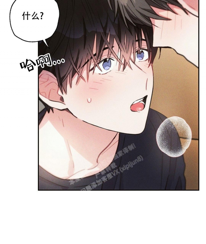 43