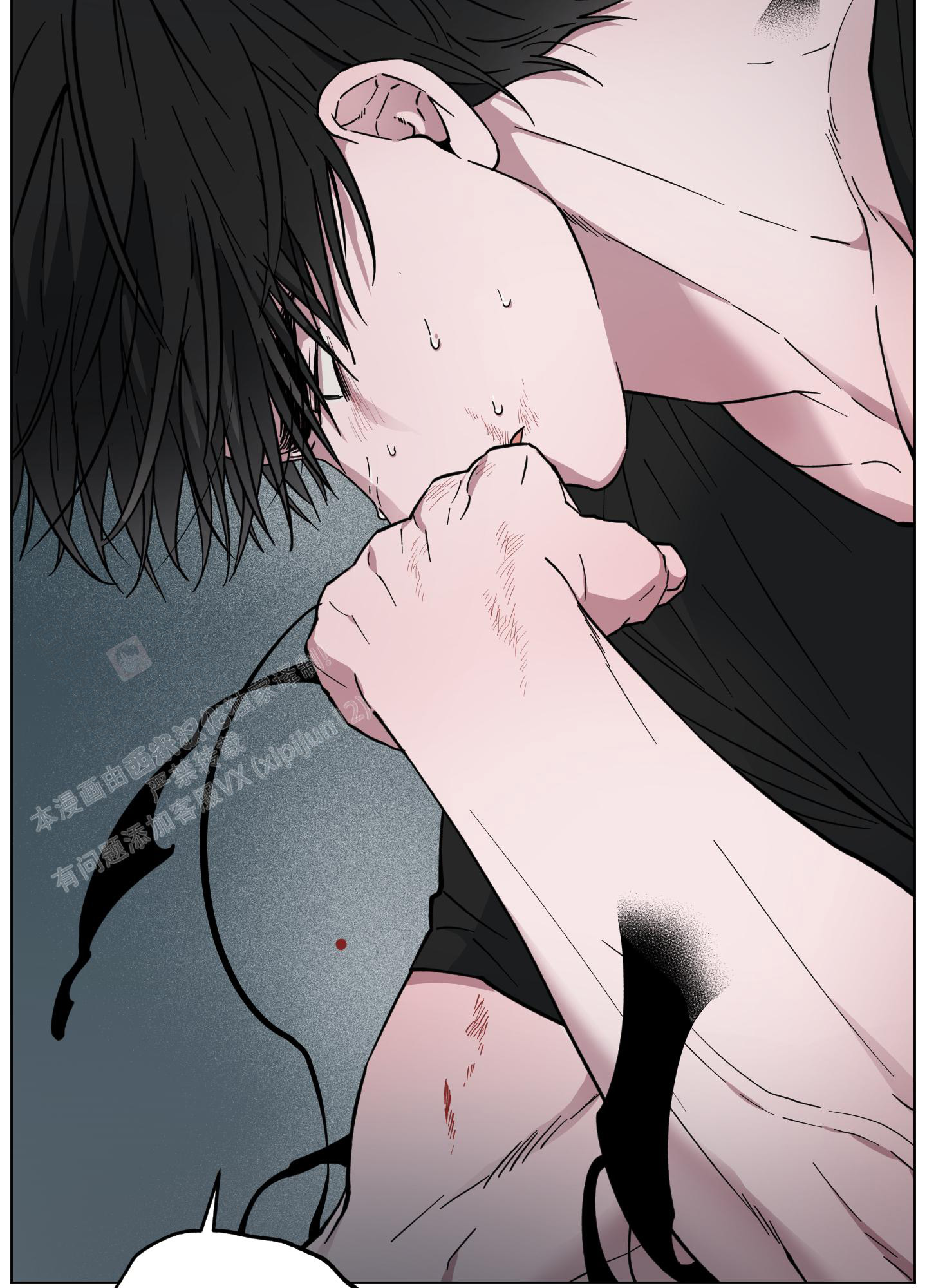 /template/pc/baozi/image/load.gif