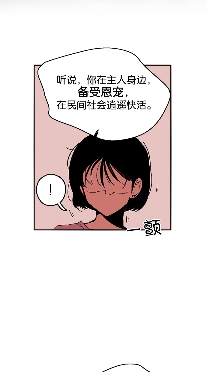 52.jpg