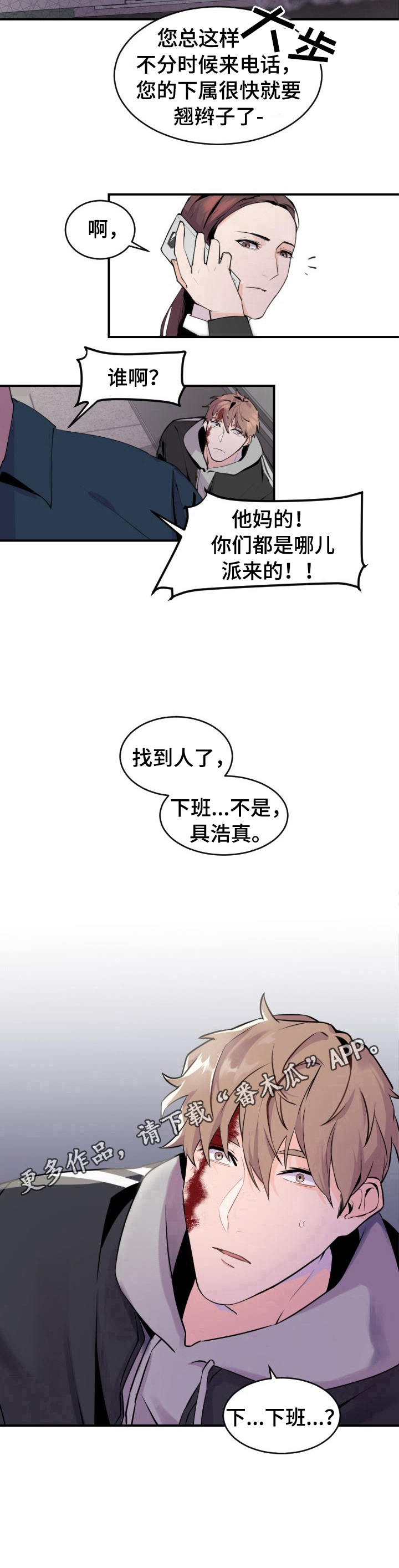 10.jpg